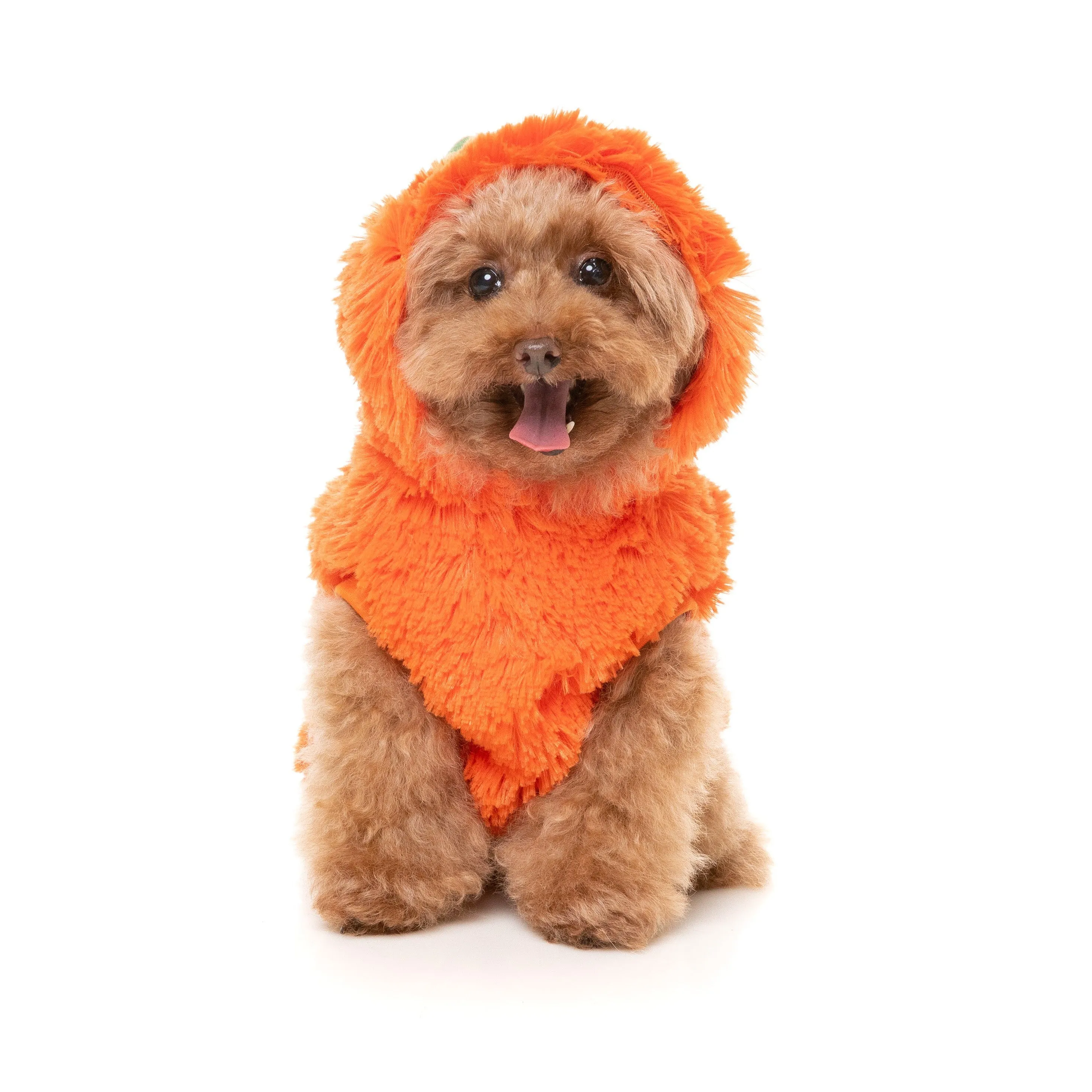 FuzzYard Halloween Dog Apparel Pumpkin Head Hoodie Size 2***